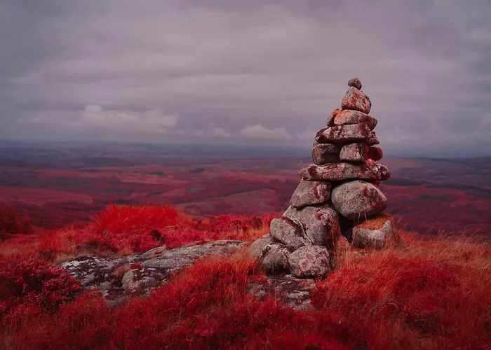 Luxury Cabin In The Magical Galloway Forest Park