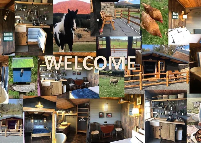 Luxury Cabin In The Magical Galloway Forest Park