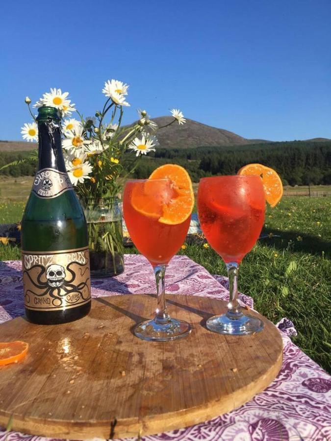 Luxury In The Magical Galloway Forest Park * Newton Stewart