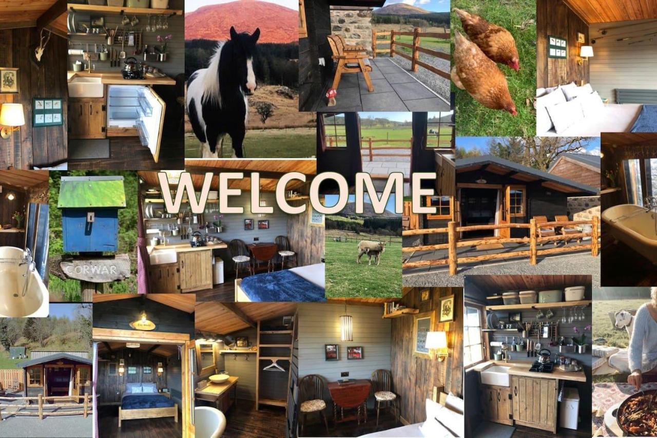 Luxury In The Magical Galloway Forest Park Newton Stewart