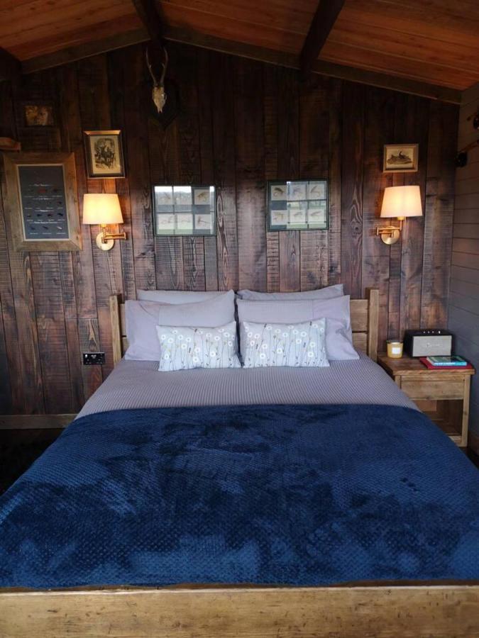 Luxury In The Magical Galloway Forest Park Holiday home *