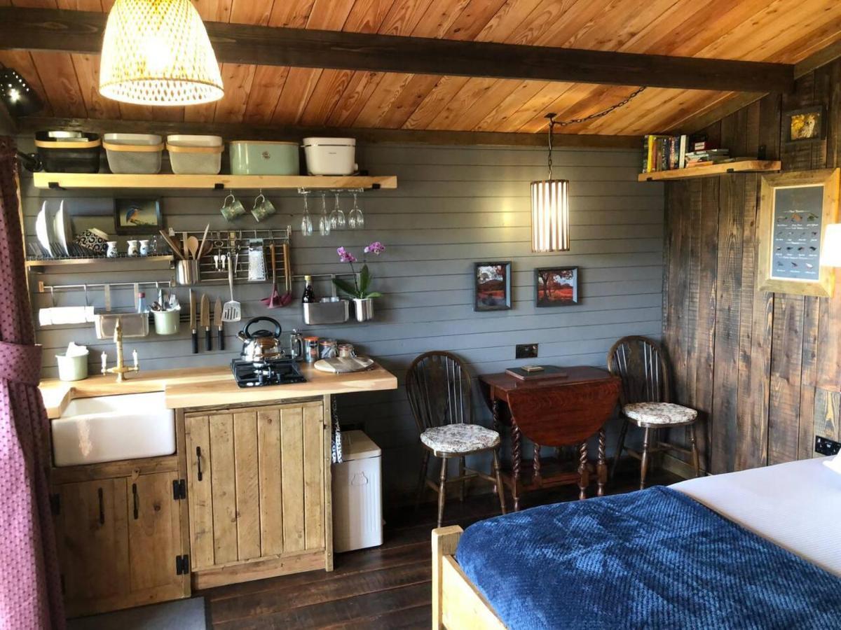 Luxury In The Magical Galloway Forest Park *