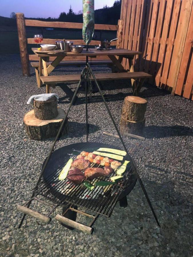 Holiday home Luxury In The Magical Galloway Forest Park