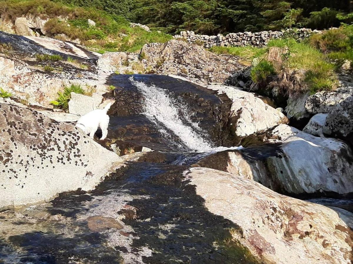 Luxury In The Magical Galloway Forest Park *