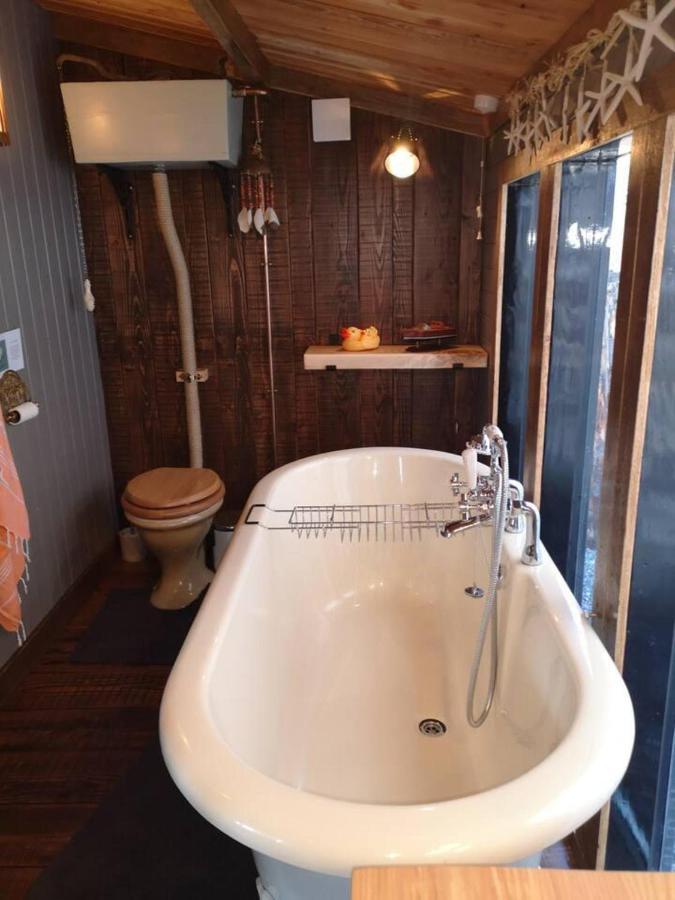 Luxury In The Magical Galloway Forest Park Holiday home
