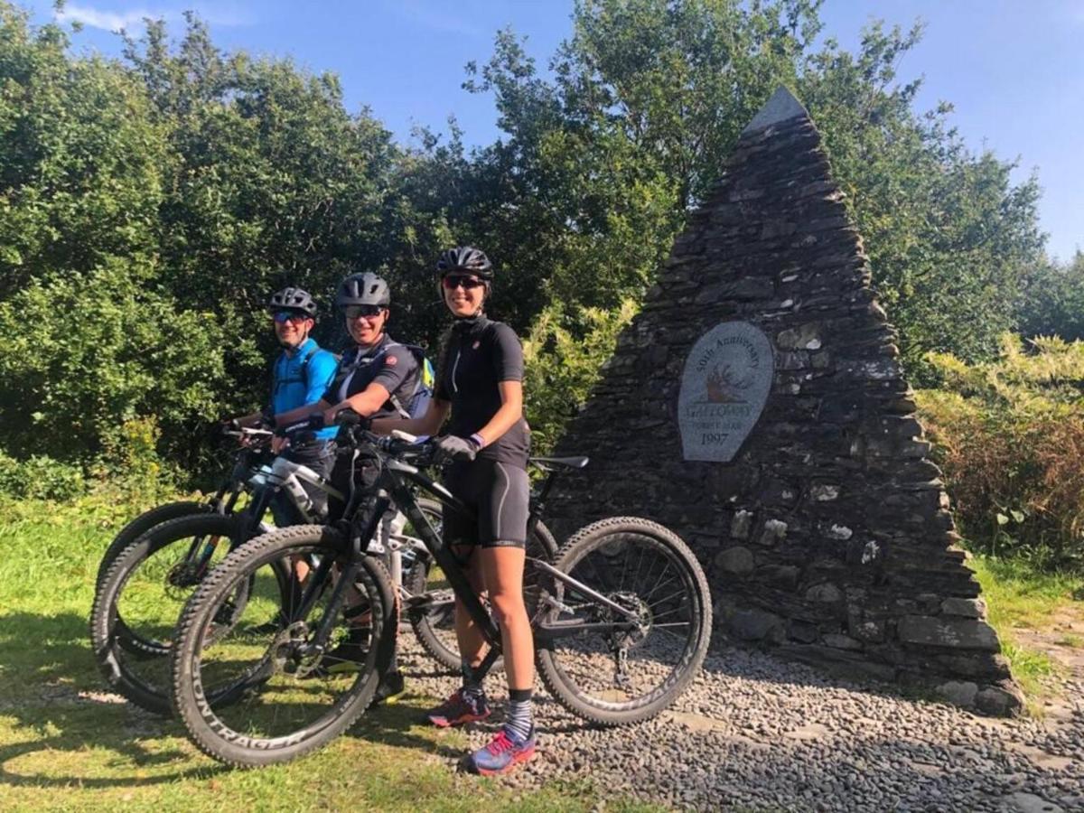 Luxury In The Magical Galloway Forest Park Holiday home