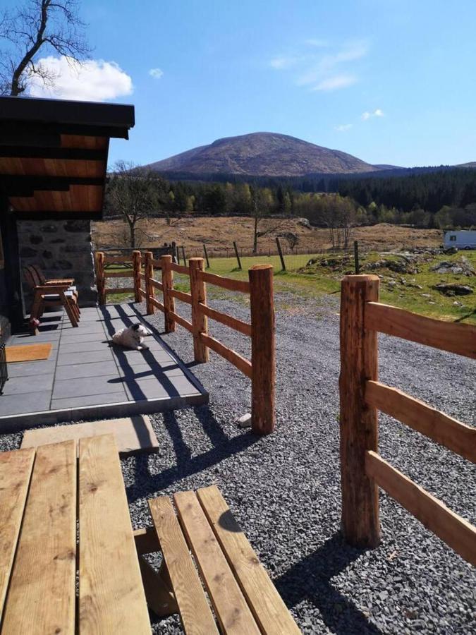 Luxury In The Magical Galloway Forest Park