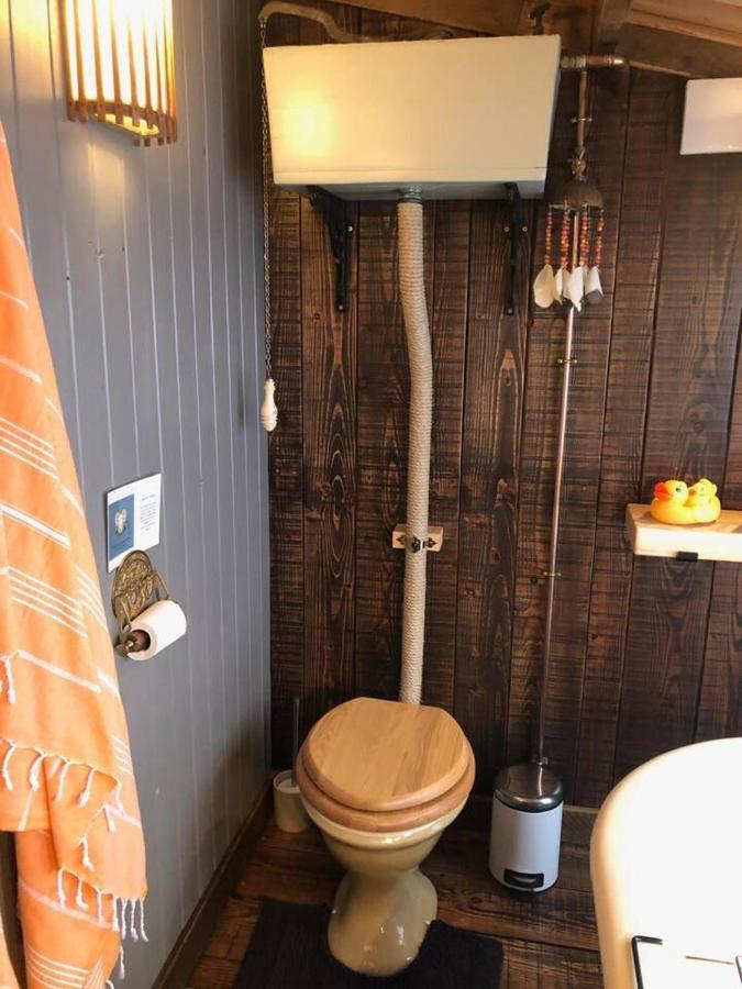 Holiday home Luxury In The Magical Galloway Forest Park *