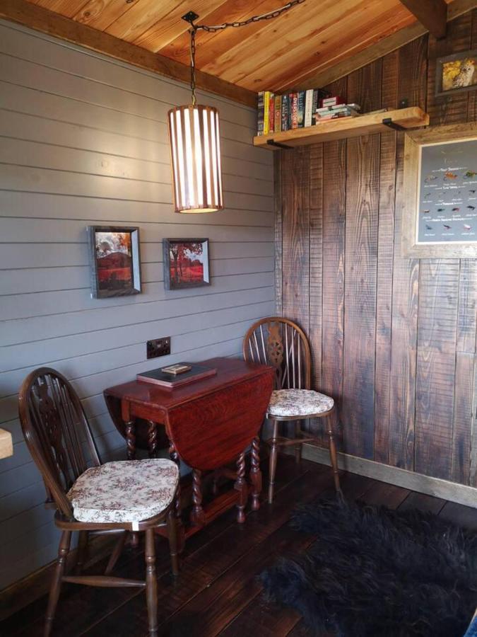 Luxury In The Magical Galloway Forest Park *