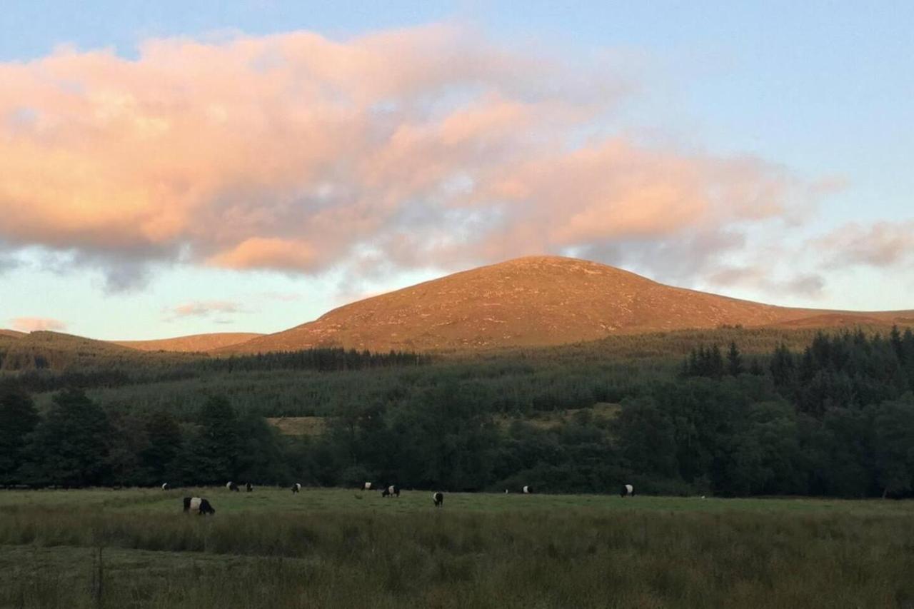 Luxury In The Magical Galloway Forest Park Holiday home