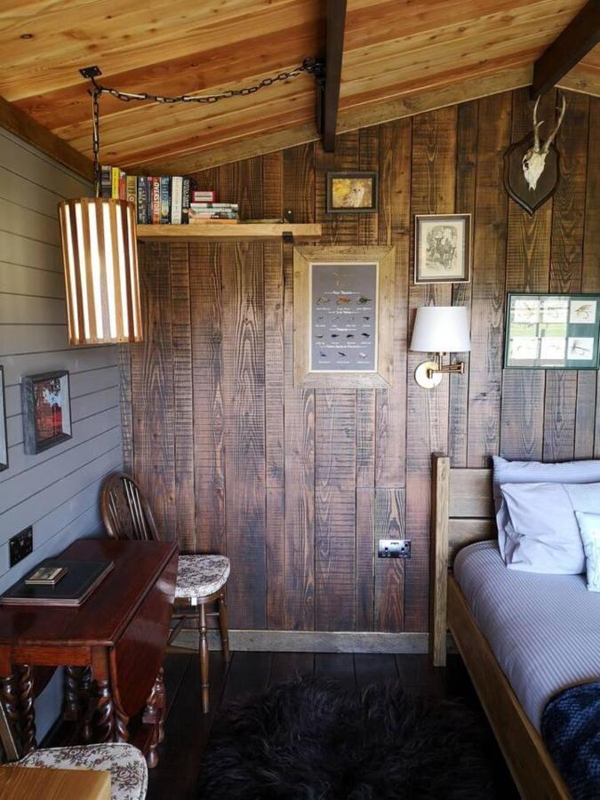 Luxury In The Magical Galloway Forest Park Holiday home