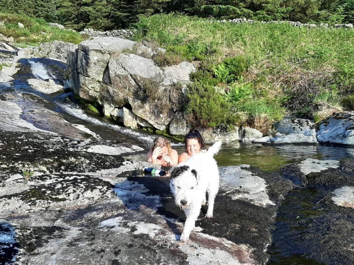Luxury In The Magical Galloway Forest Park * Newton Stewart