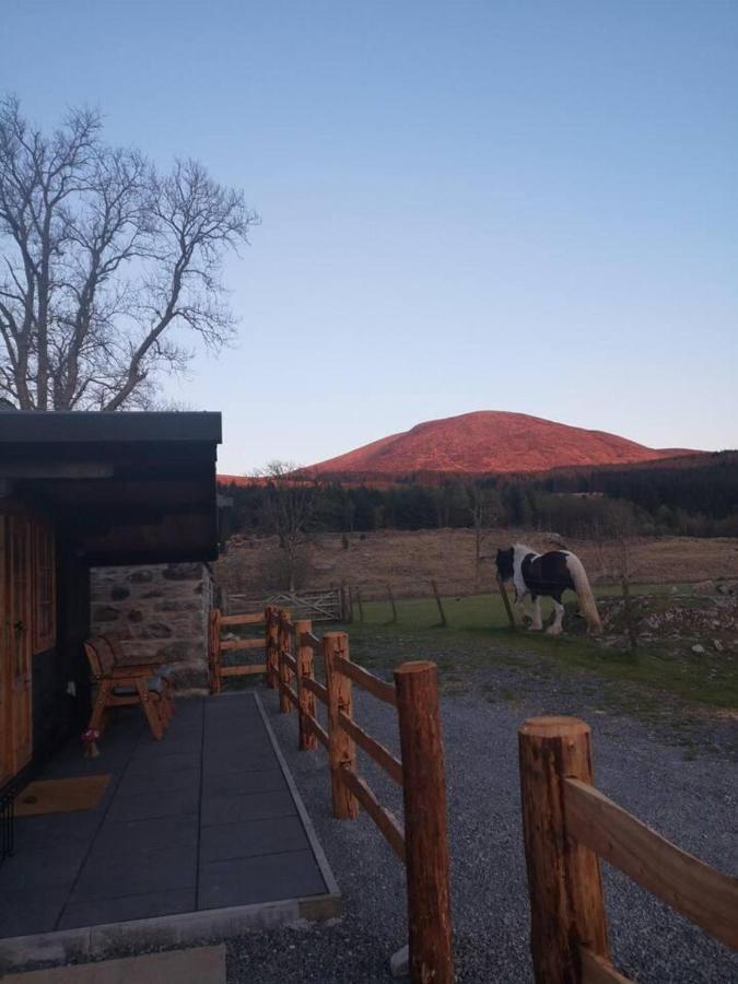 Luxury In The Magical Galloway Forest Park Newton Stewart