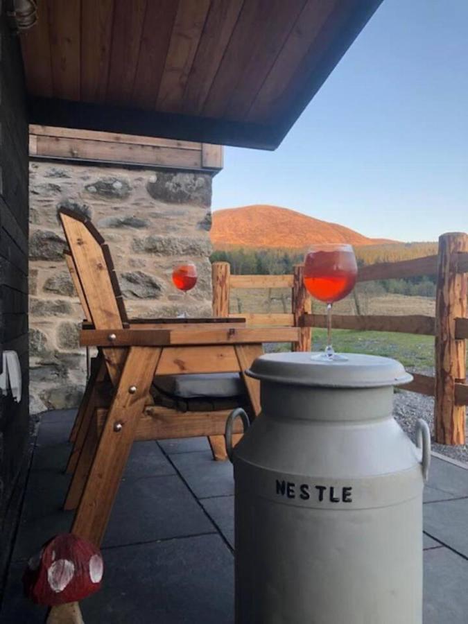 Luxury In The Magical Galloway Forest Park Holiday home Newton Stewart